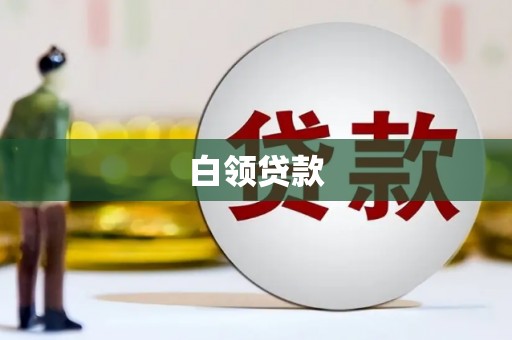 隆德白领贷款