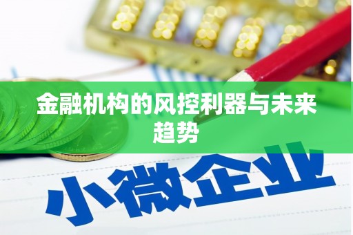 隆德金融机构的风控利器与未来趋势