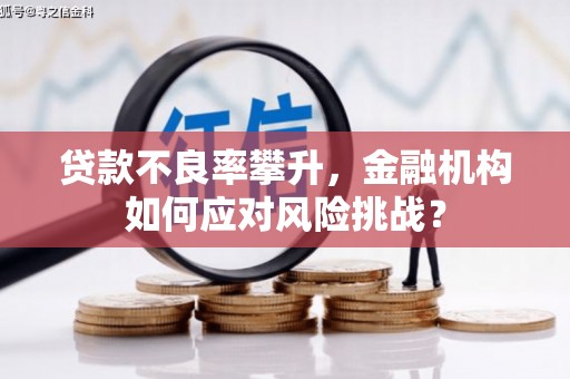 隆德贷款不良率攀升，金融机构如何应对风险挑战？