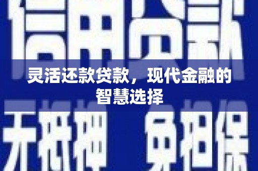 隆德灵活还款贷款，现代金融的智慧选择