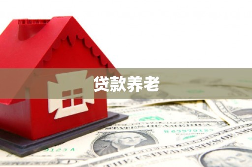 隆德贷款养老