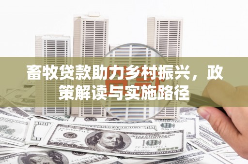 隆德畜牧贷款助力乡村振兴，政策解读与实施路径