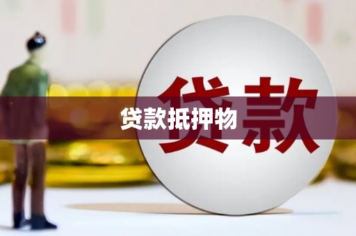 隆德贷款抵押物