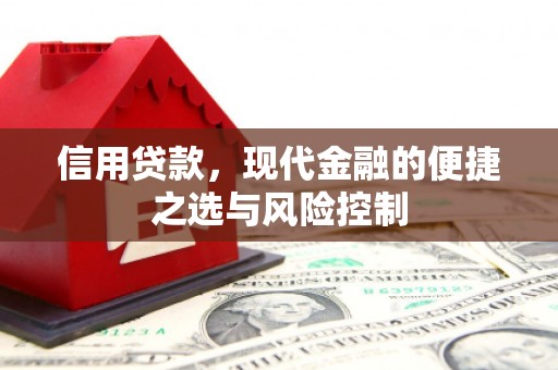隆德信用贷款，现代金融的便捷之选与风险控制