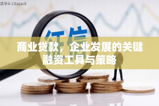 隆德商业贷款，企业发展的关键融资工具与策略