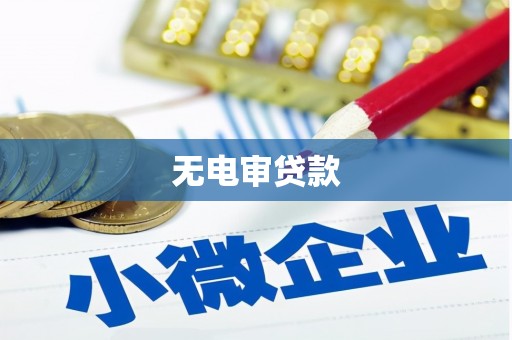 隆德无电审贷款