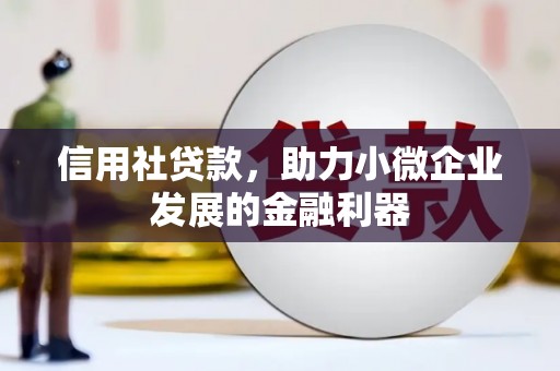 隆德信用社贷款，助力小微企业发展的金融利器