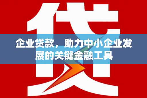 隆德企业贷款，助力中小企业发展的关键金融工具