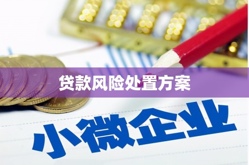隆德贷款风险处置方案