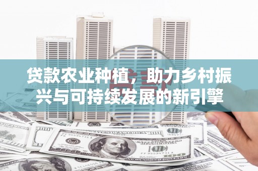 隆德贷款农业种植，助力乡村振兴与可持续发展的新引擎