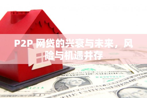 隆德P2P 网贷的兴衰与未来，风险与机遇并存