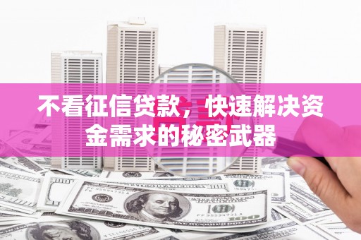 隆德不看征信贷款，快速解决资金需求的秘密武器