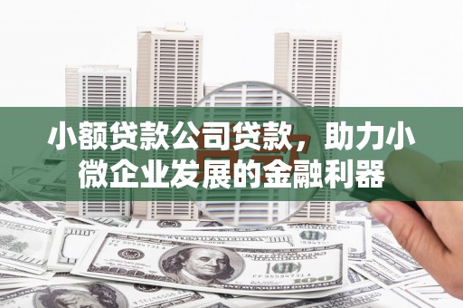 隆德小额贷款公司贷款，助力小微企业发展的金融利器