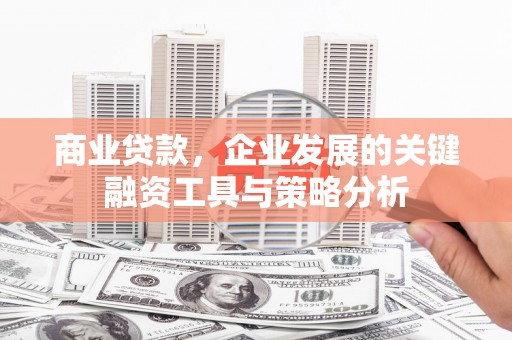 隆德商业贷款，企业发展的关键融资工具与策略分析