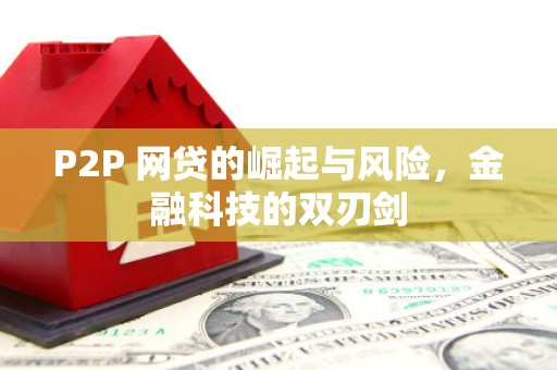 隆德P2P 网贷的崛起与风险，金融科技的双刃剑