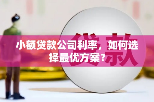隆德小额贷款公司利率，如何选择最优方案？
