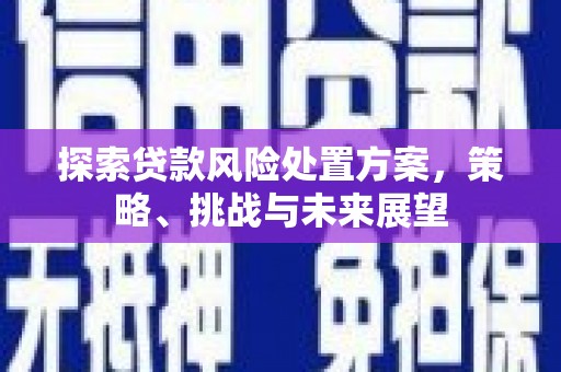 隆德探索贷款风险处置方案，策略、挑战与未来展望