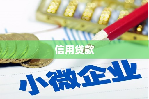 隆德信用贷款