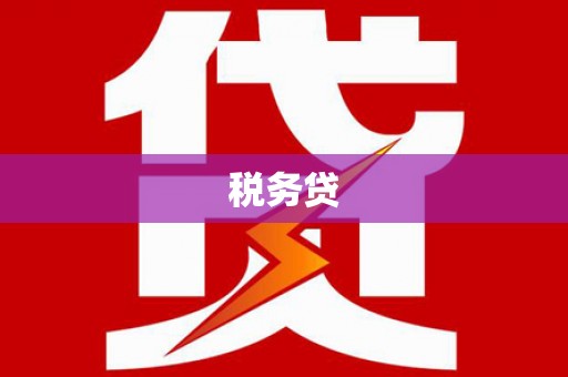 隆德税务贷