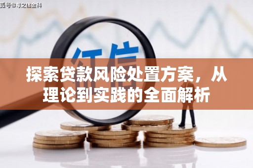 隆德探索贷款风险处置方案，从理论到实践的全面解析