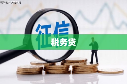 隆德税务贷