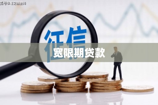 隆德宽限期贷款