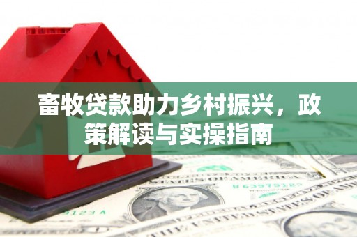 隆德畜牧贷款助力乡村振兴，政策解读与实操指南