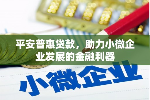 隆德平安普惠贷款，助力小微企业发展的金融利器