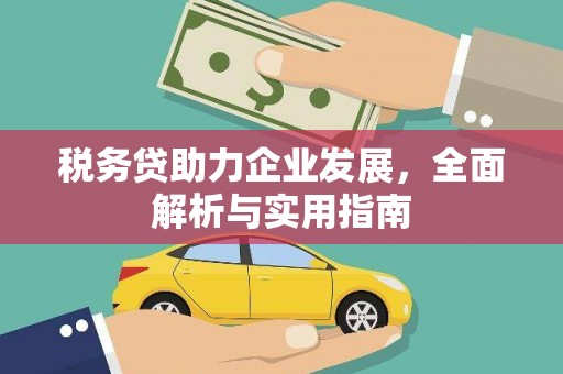 隆德税务贷助力企业发展，全面解析与实用指南