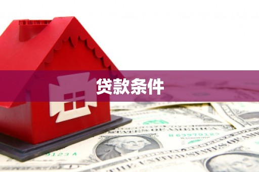 隆德贷款条件