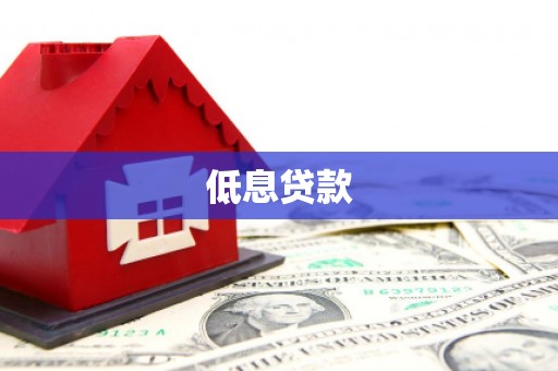 隆德低息贷款
