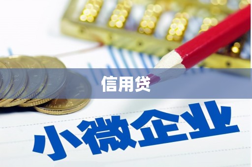 隆德信用贷