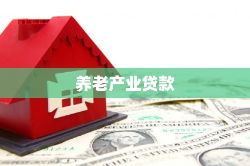 隆德养老产业贷款