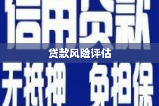 隆德贷款风险评估