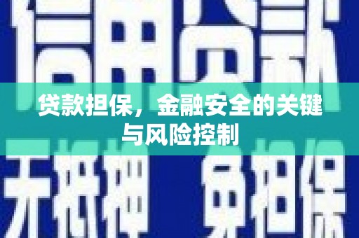 隆德贷款担保，金融安全的关键与风险控制