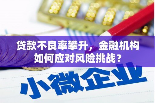 隆德贷款不良率攀升，金融机构如何应对风险挑战？
