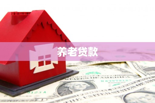 隆德养老贷款