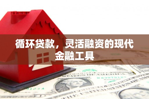 隆德循环贷款，灵活融资的现代金融工具