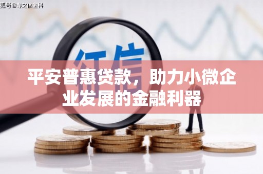 隆德平安普惠贷款，助力小微企业发展的金融利器