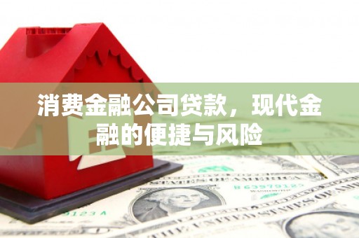 隆德消费金融公司贷款，现代金融的便捷与风险