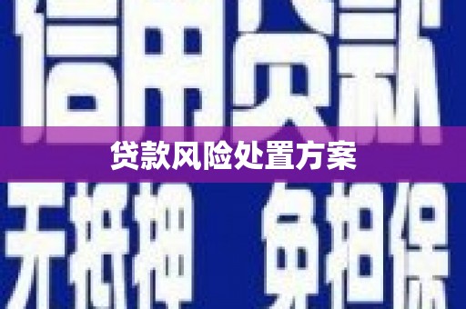 隆德贷款风险处置方案