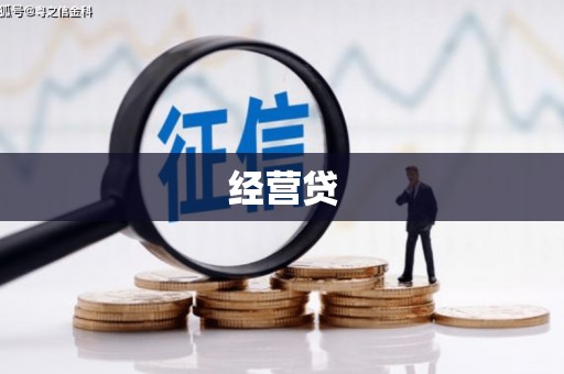隆德经营贷