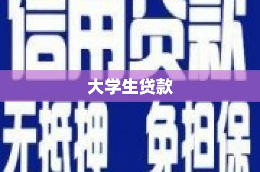 隆德大学生贷款